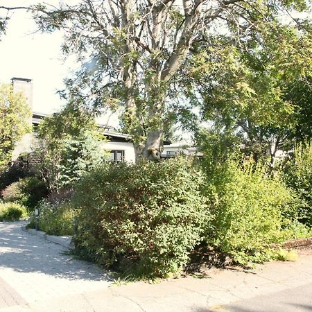 Garthabaer Spacious & Refurbished 1 Bedroom Apartment In Suburban Reykjavik מראה חיצוני תמונה