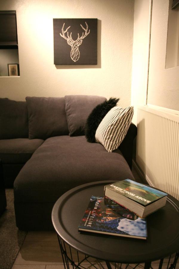 Garthabaer Spacious & Refurbished 1 Bedroom Apartment In Suburban Reykjavik מראה חיצוני תמונה